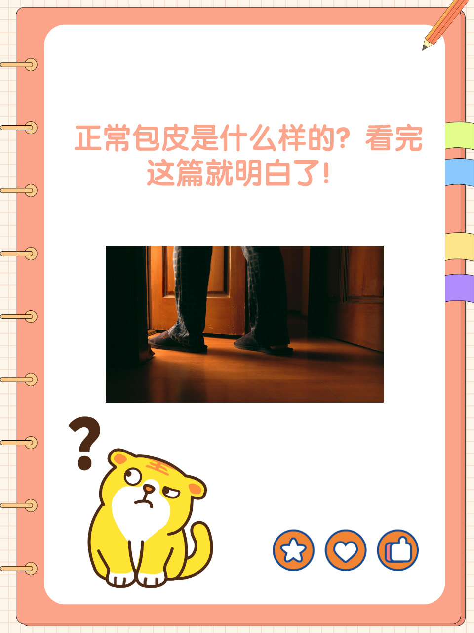 什么样属于包皮