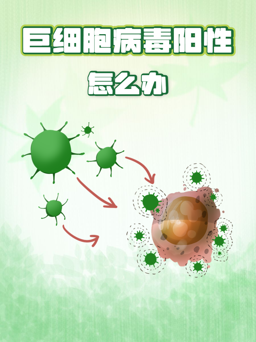 巨细胞病毒抗体IgG阳性+是什么意思
