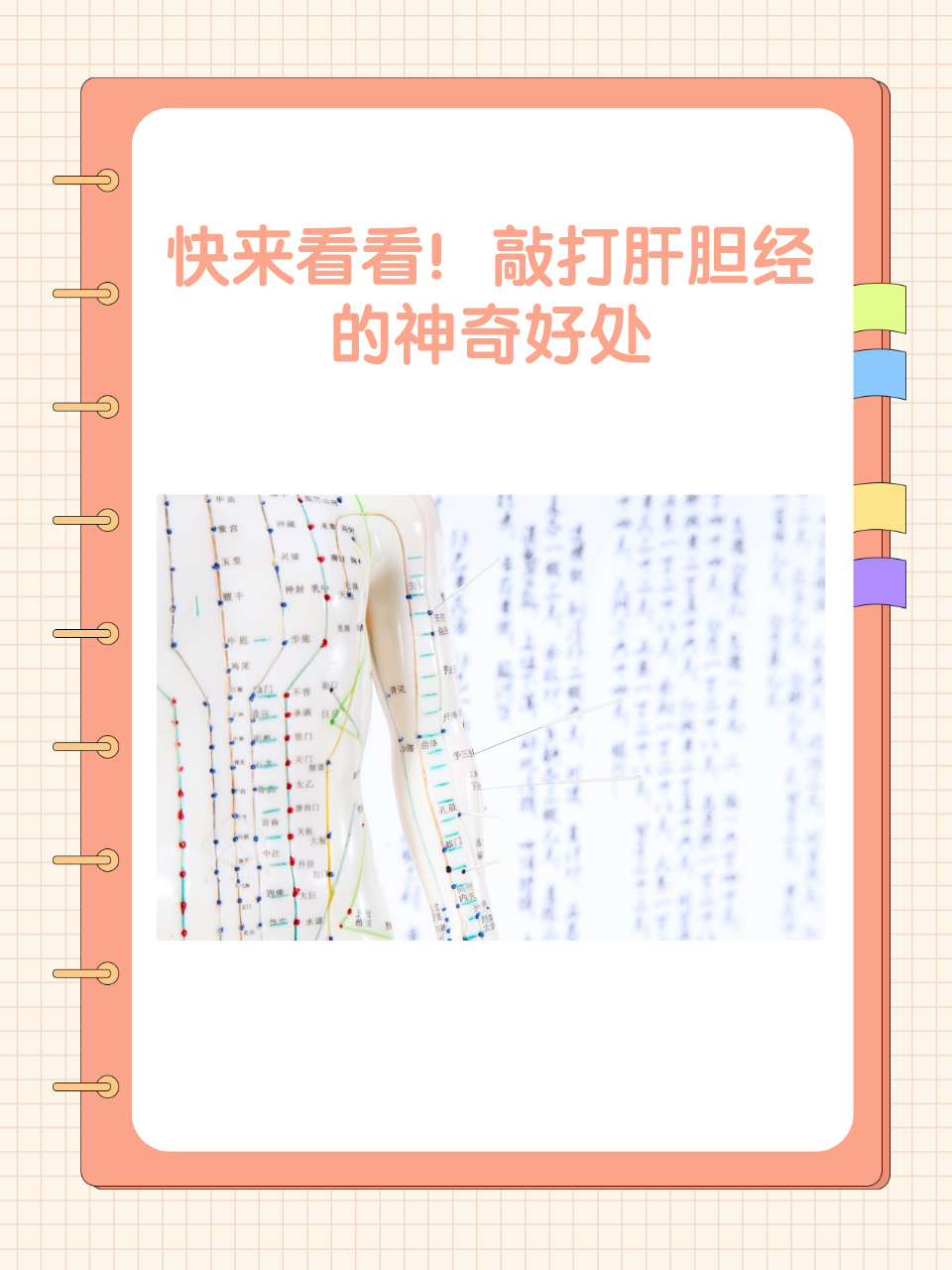 胆经肝经在哪里