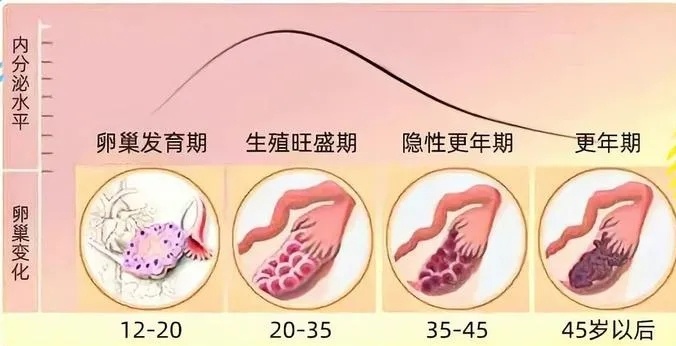 邵代灵