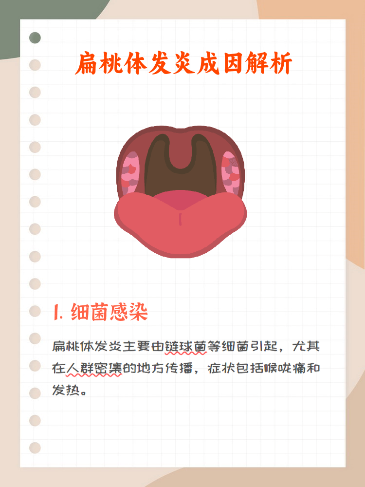 扁桃体是什么