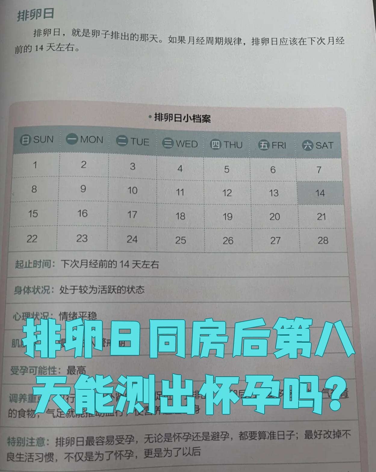 受孕后多久能测出来