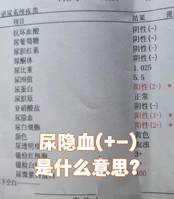 尿常规有潜血什么意思