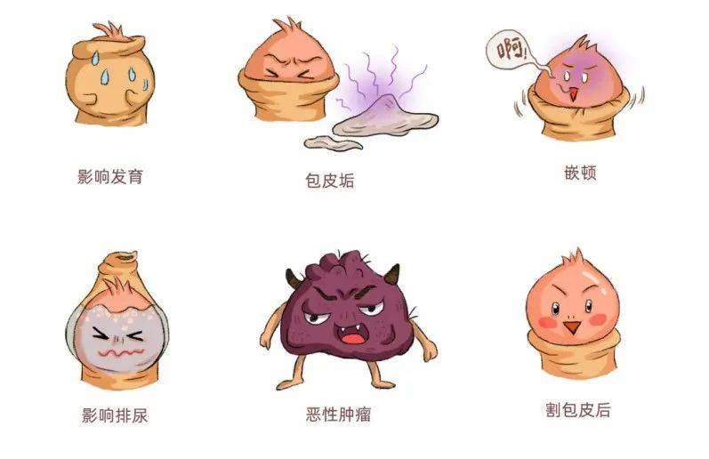 包皮包茎有什么严重后果