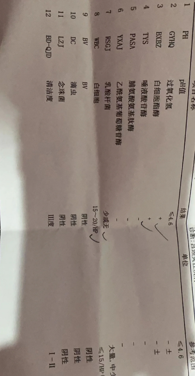 殳书仪