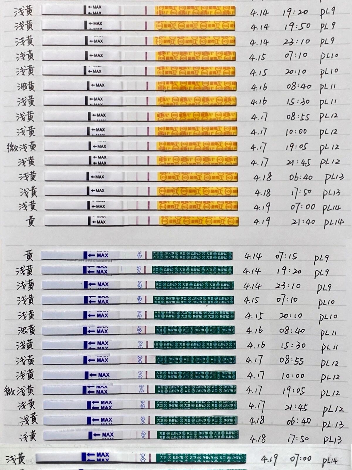 同房后14天能测到怀孕吗