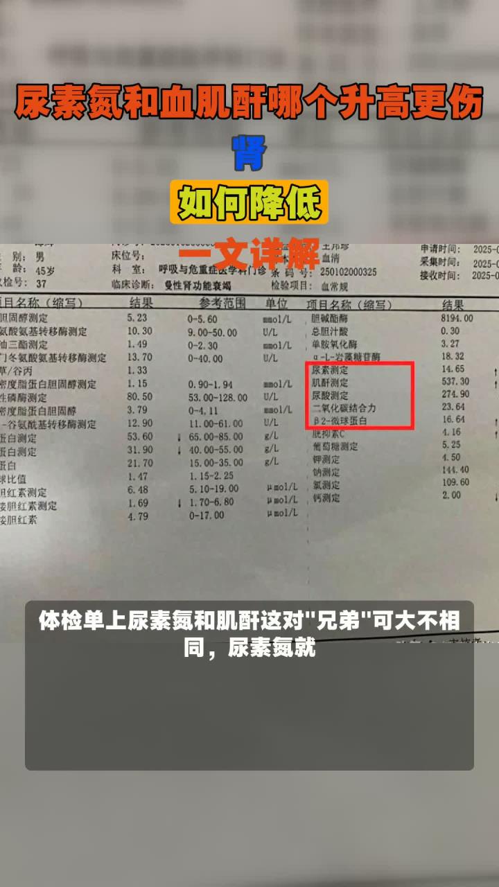 法英楠