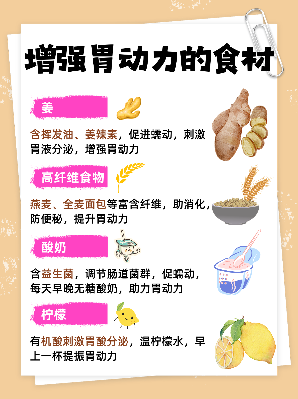 胃动力不足怎么调理