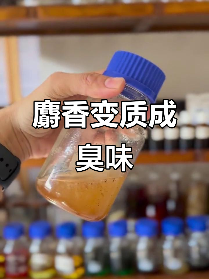麝香会导致不孕吗