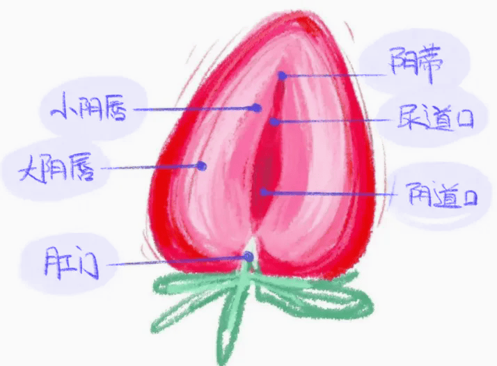潮云蔚