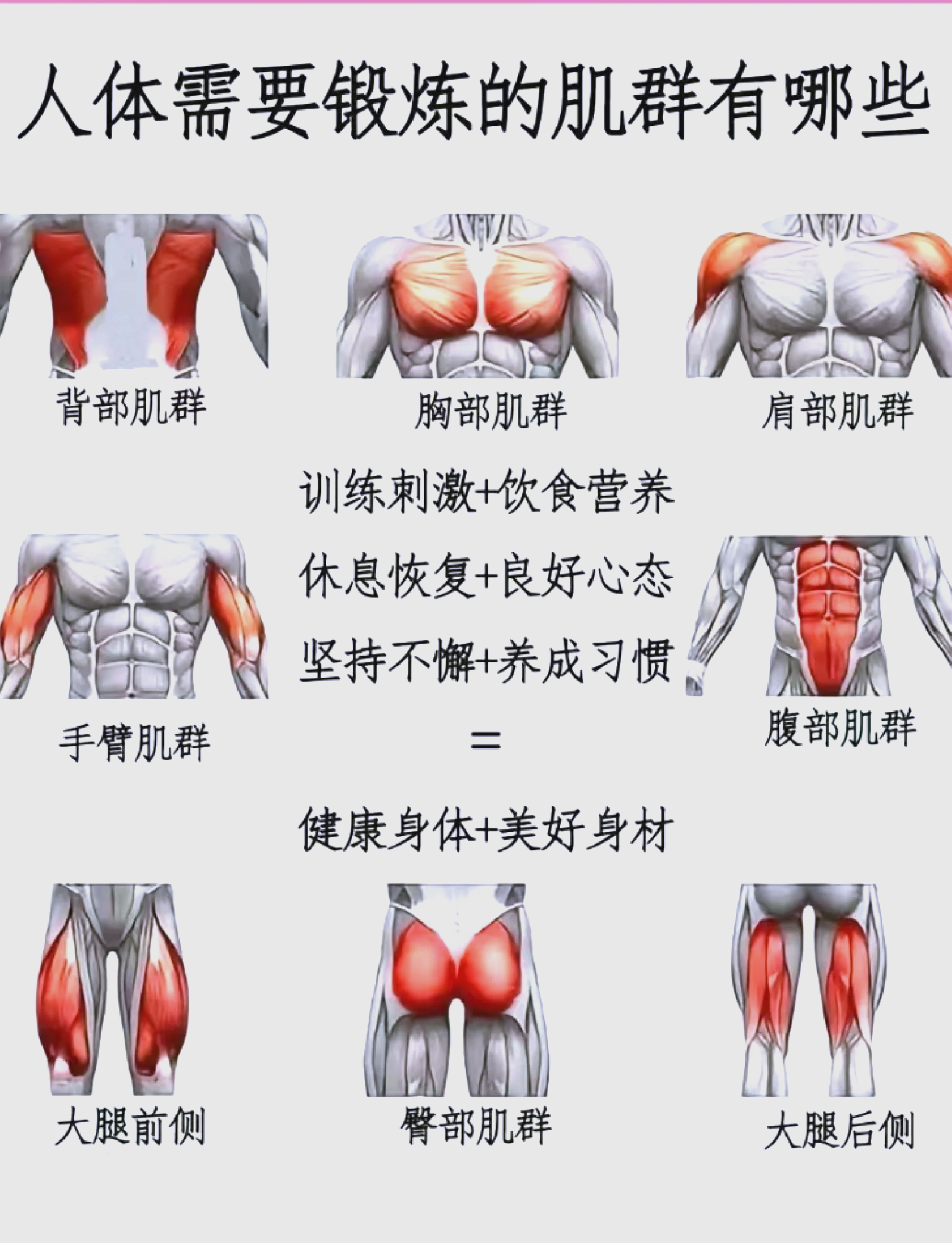 如何锻炼才能练出肌肉