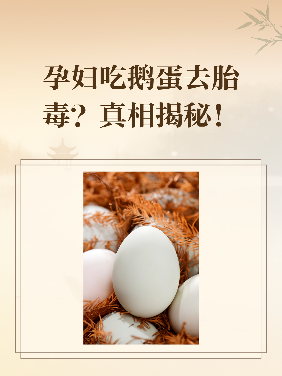 肥初兰