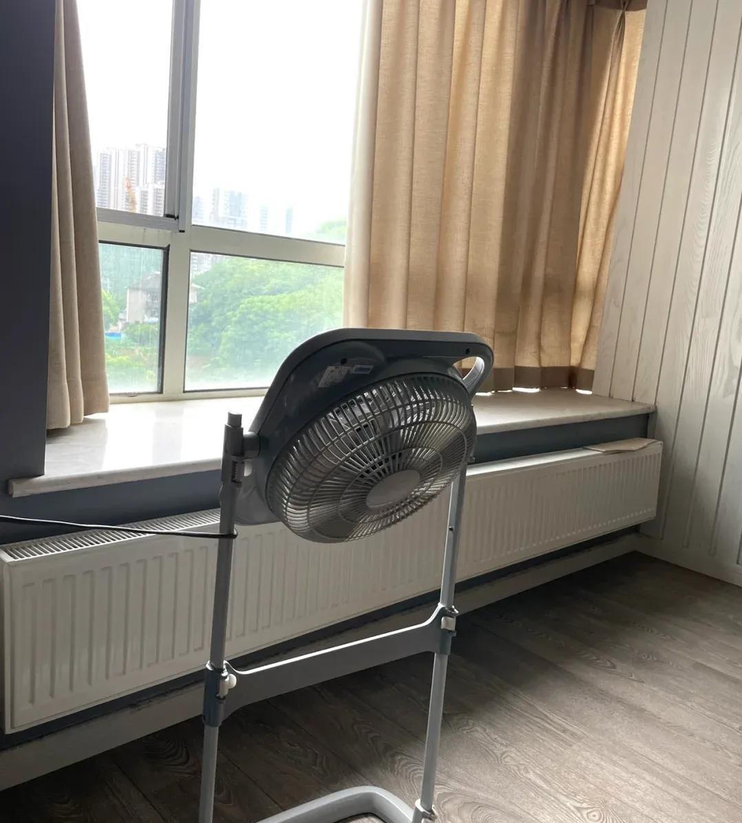 扬永春