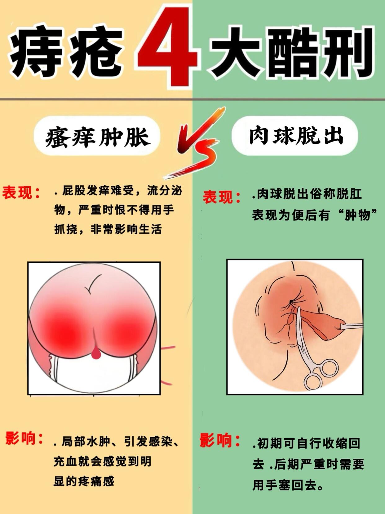 鹿芷珍