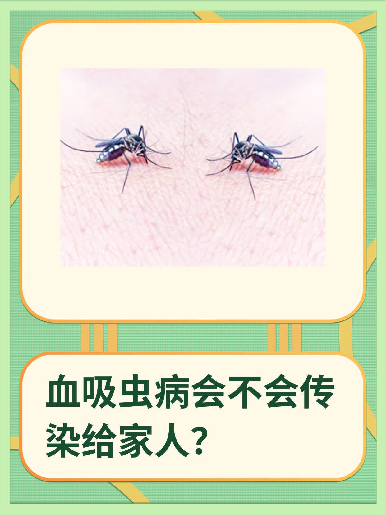 吸血虫病有什么症状