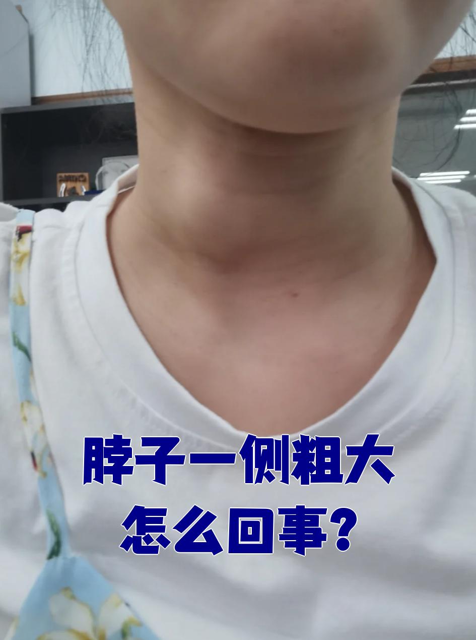 律慧心