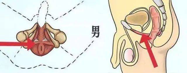 费莫流丽