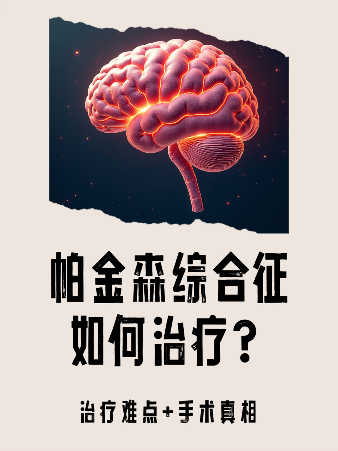 岳向卉