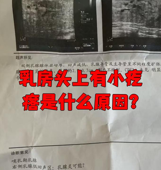 公孙俨