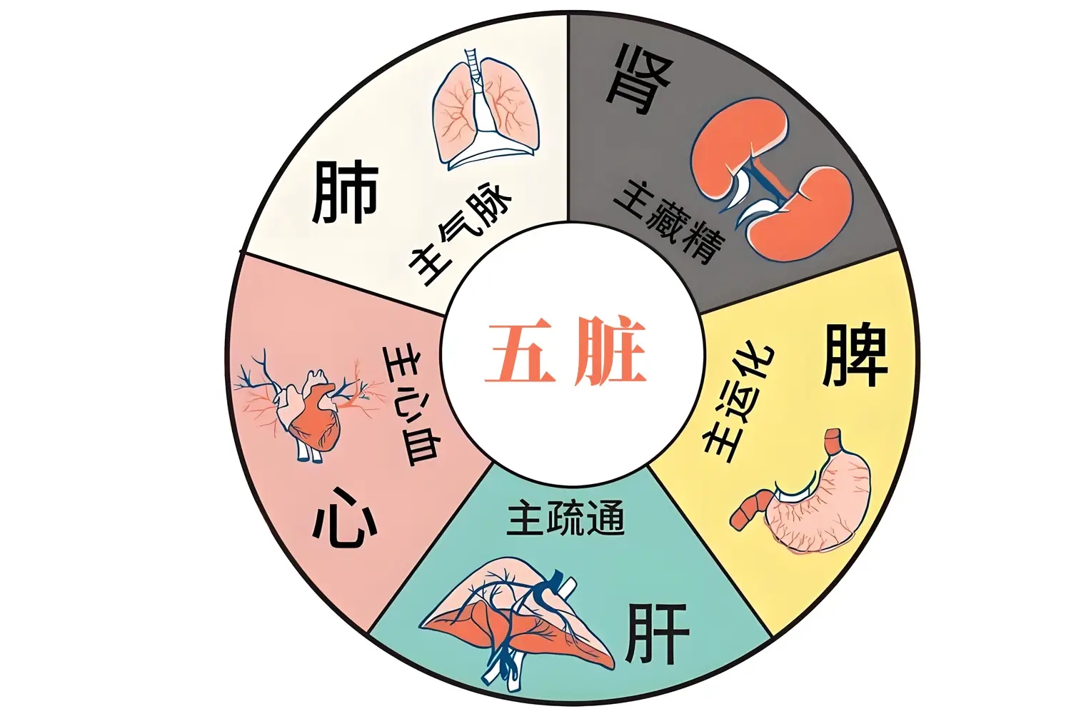 蛮琲