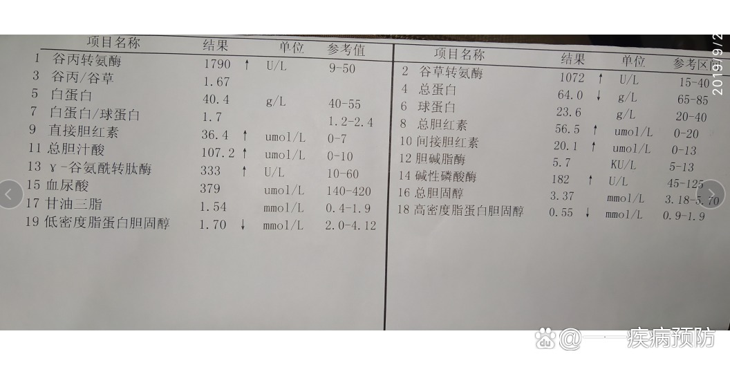 刚智晖