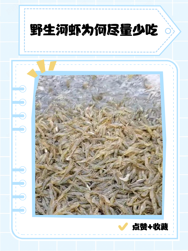 河虾的营养价值及功效