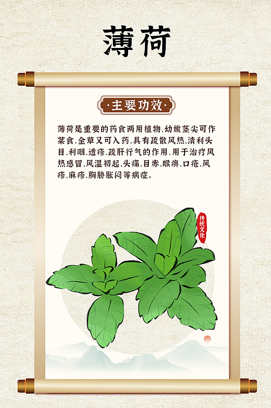 薄荷叶的功效和作用