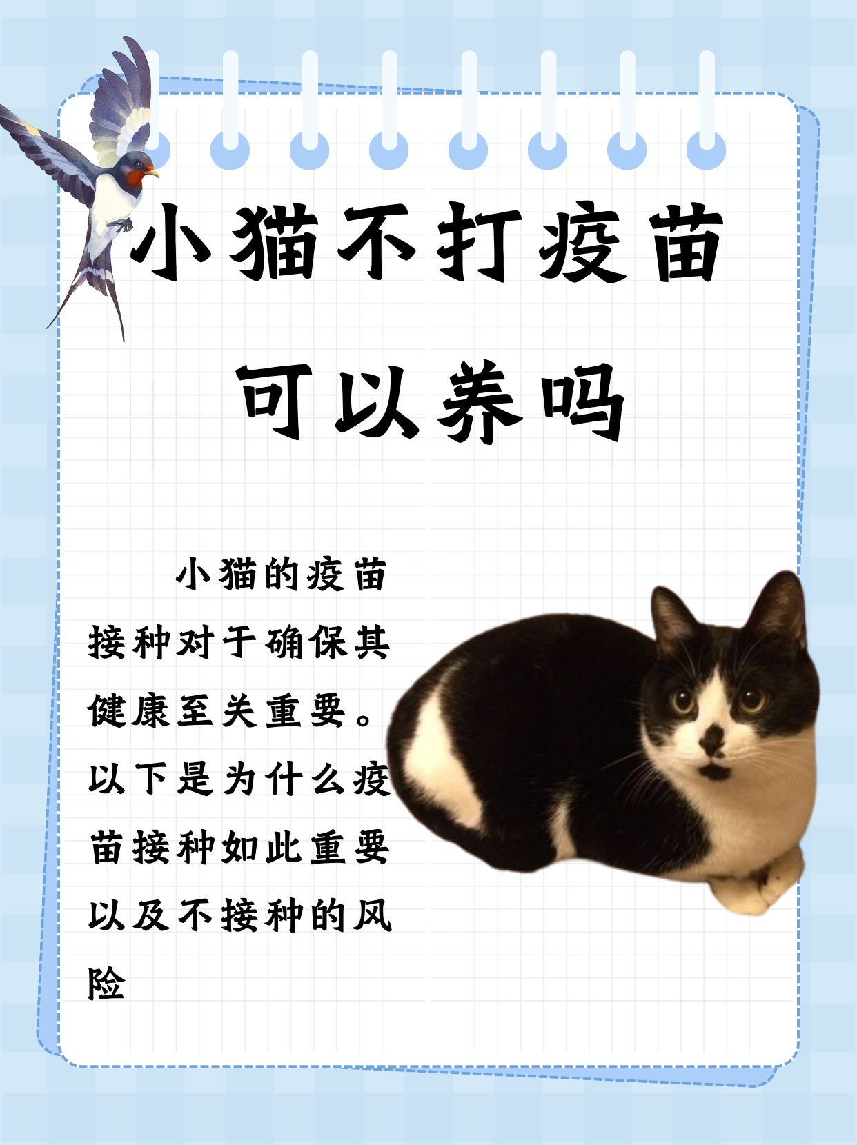 为什么要打预防针