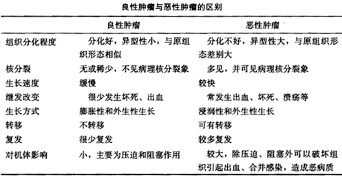 良性肿瘤与恶性肿瘤的区别