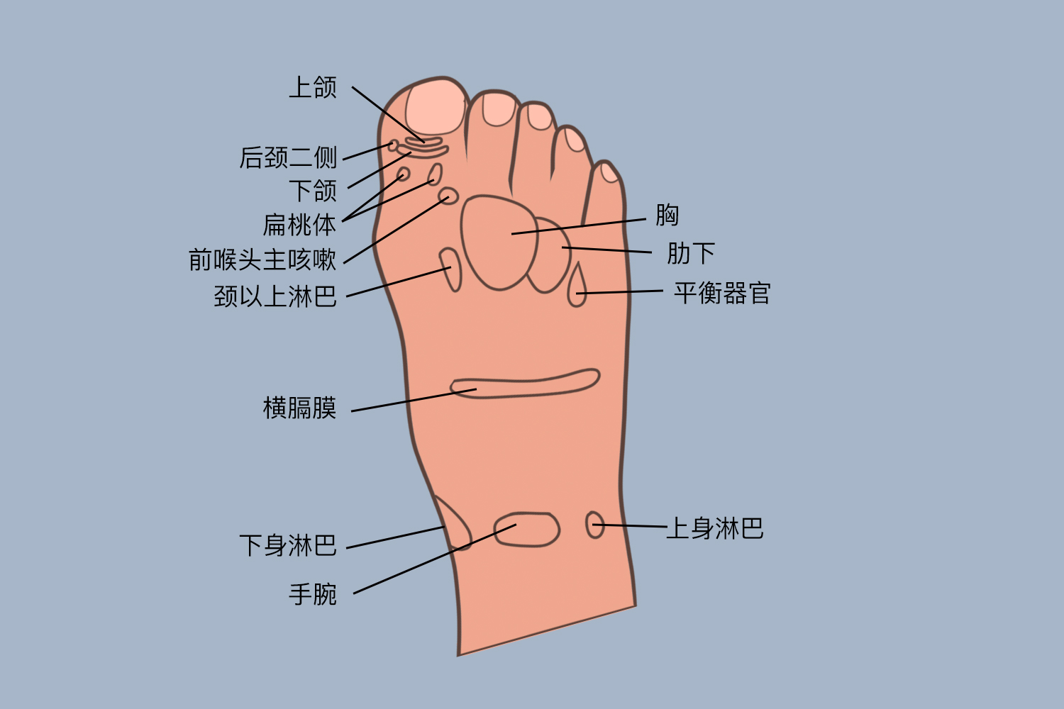 脚背肿,怎么消肿最快