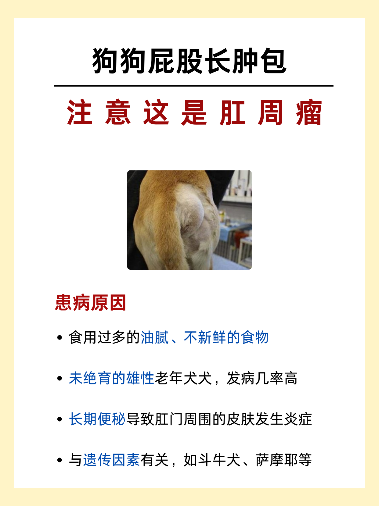 屁股上长了个包,是什么东西