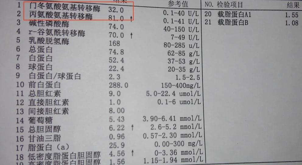 门冬氨酸氨基转移酶偏高的原因