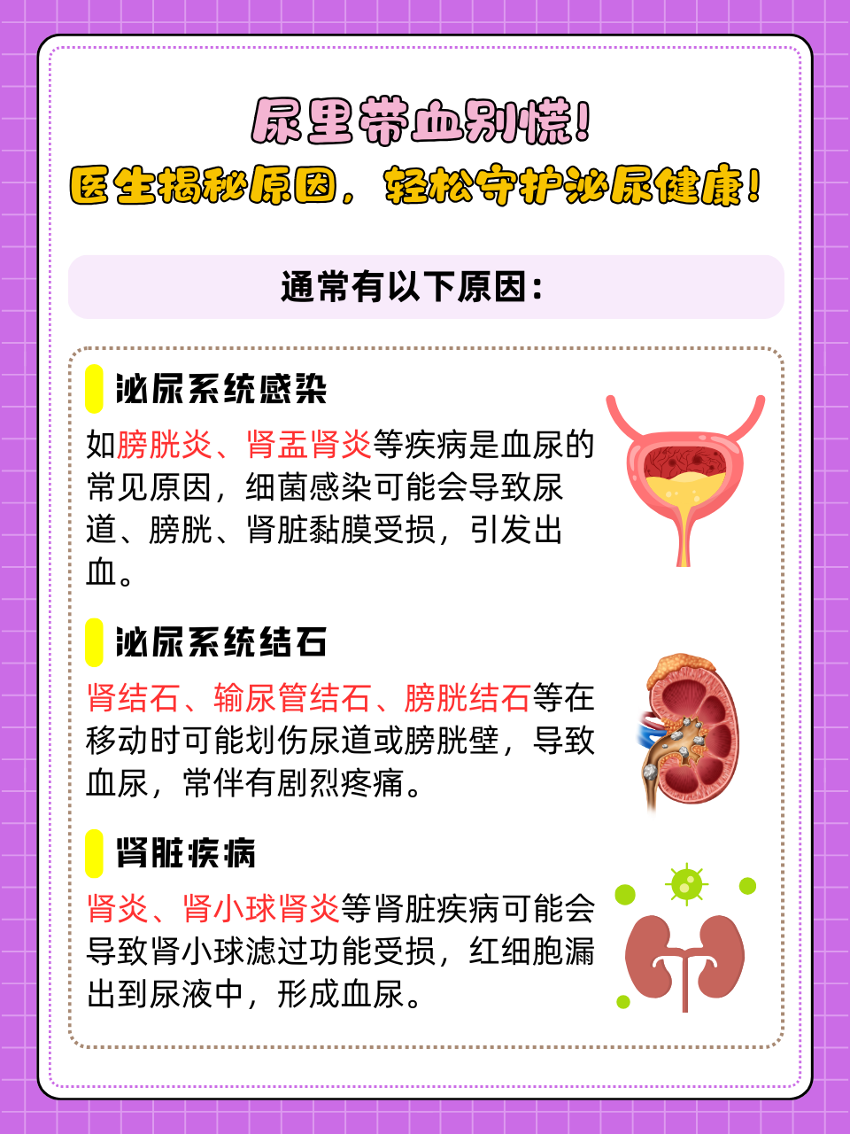 尿潜血3+是怎么回事