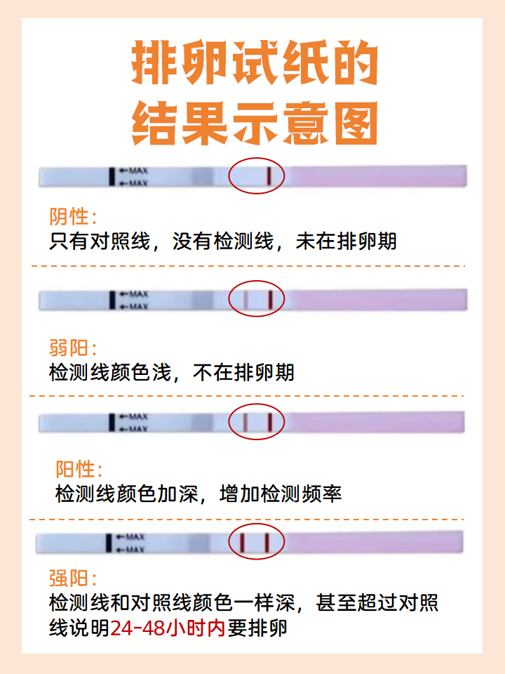 排卵试纸显示阴性会怀孕吗
