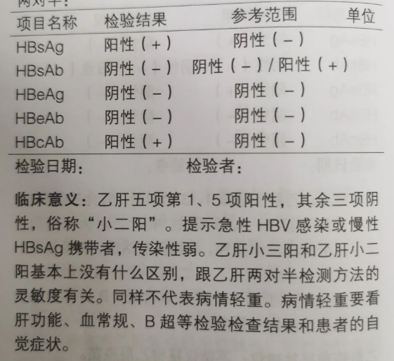 乙肝阳性什么意思