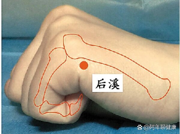 脖子落枕按摩哪个部位