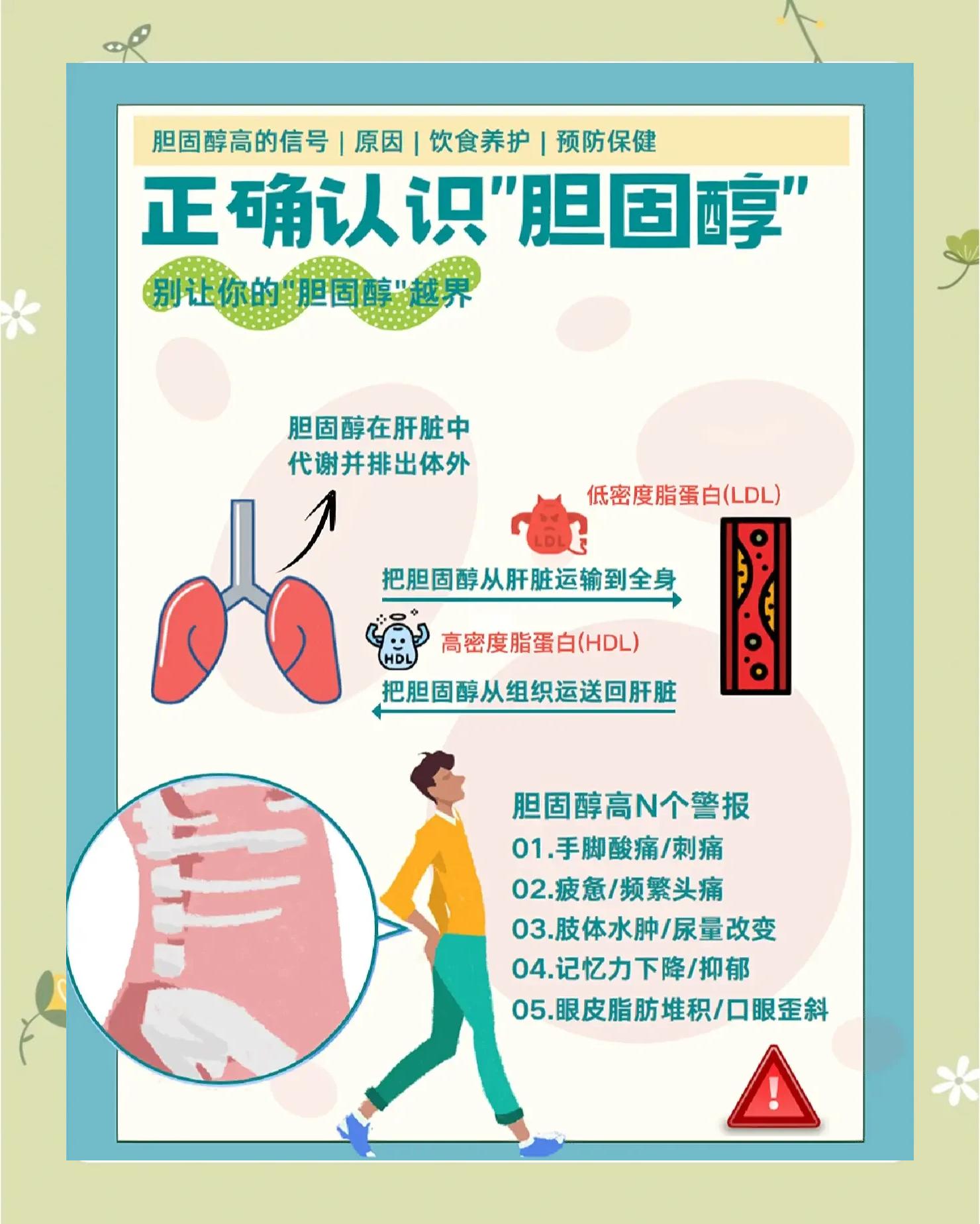 胆固醇偏低是什么原因