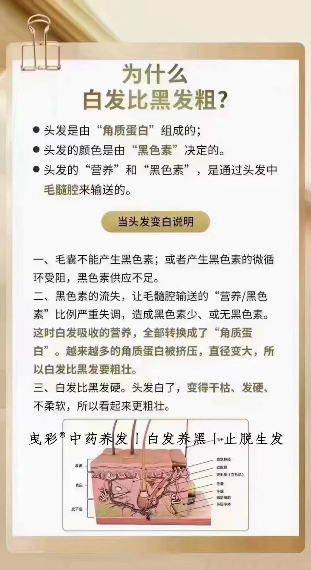 怎样治疗白发呢?