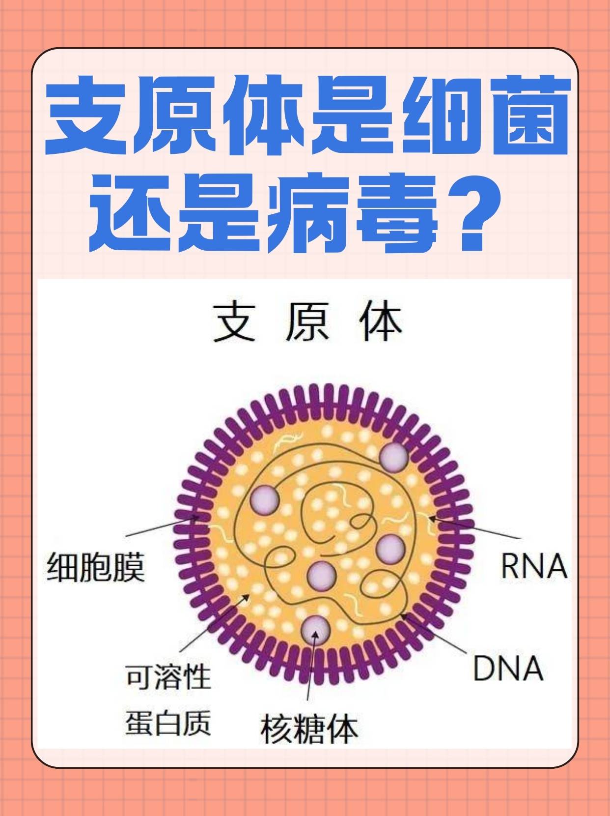支原体是一种什么病?