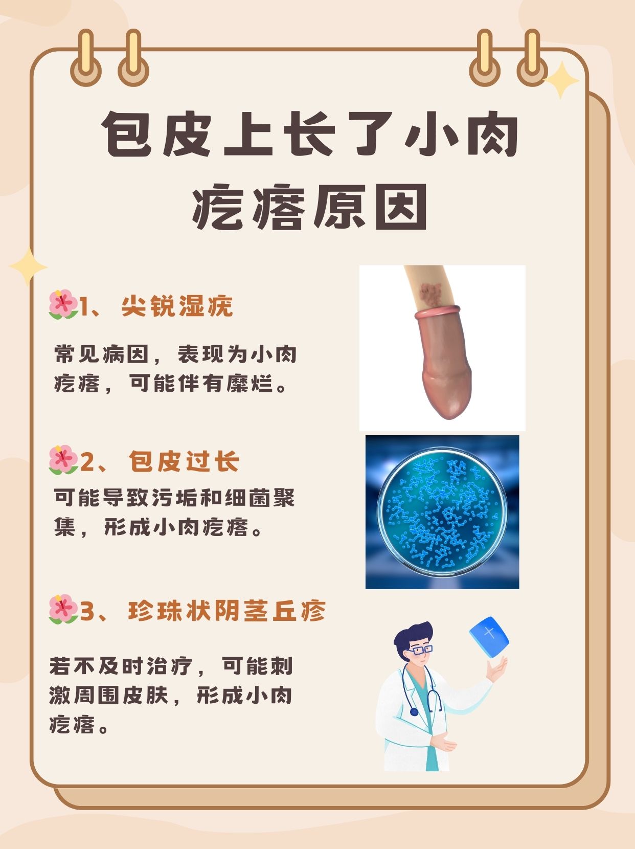 包皮上长小颗粒是什么