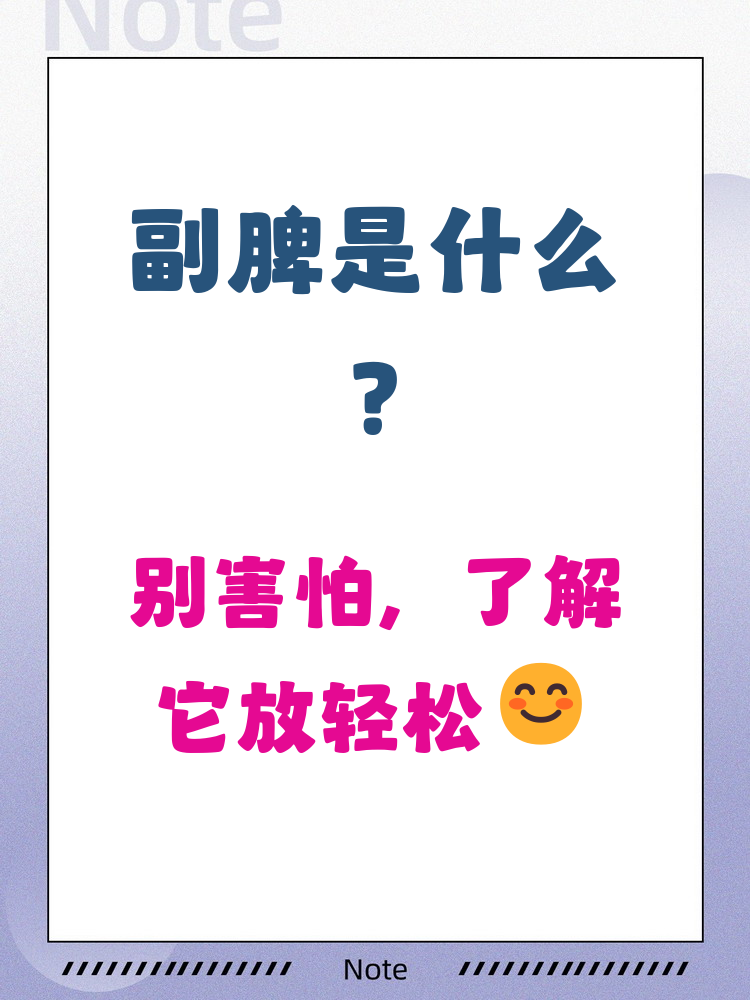 什么是副脾?