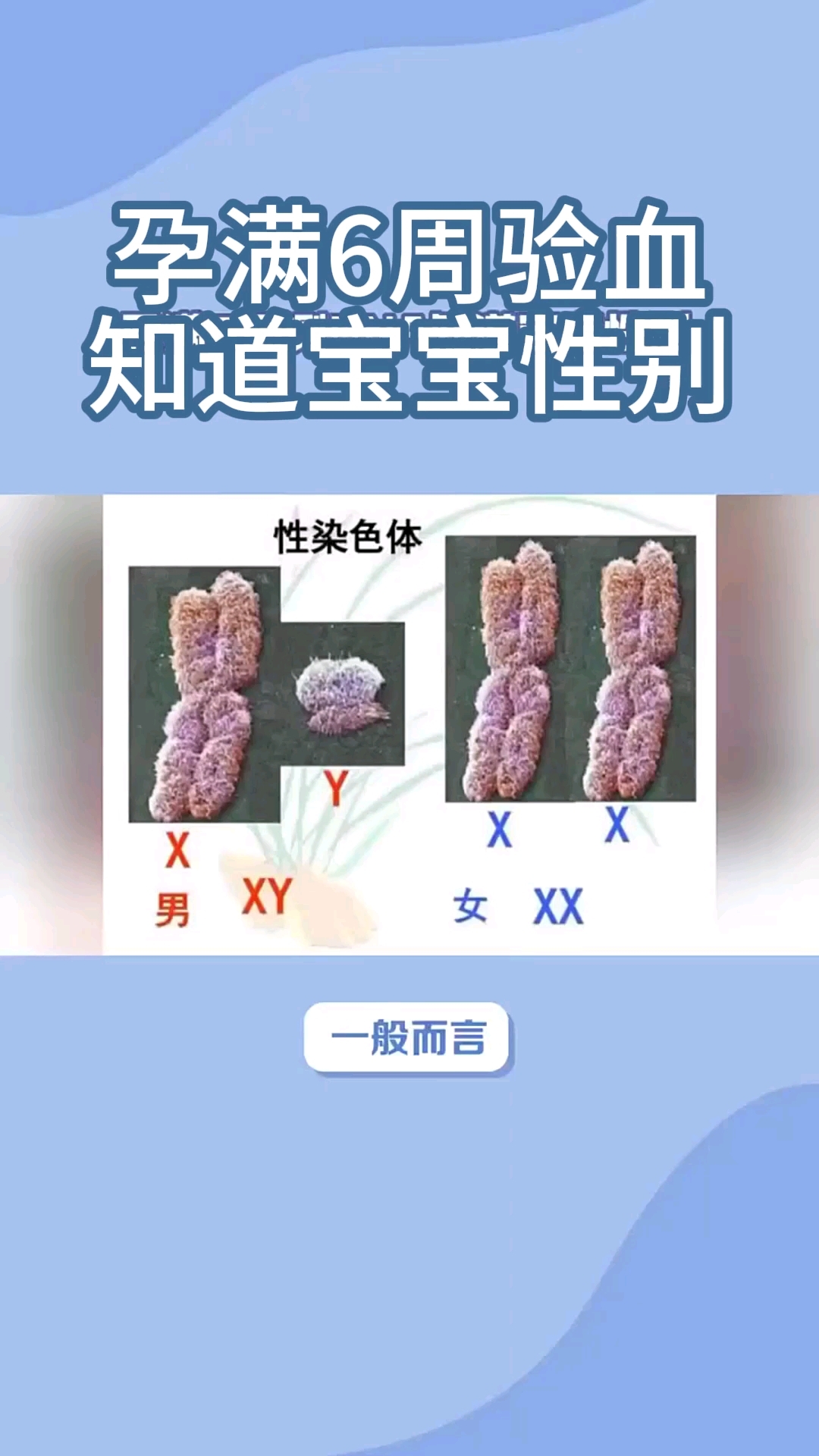最早几个月能看出胎儿性别