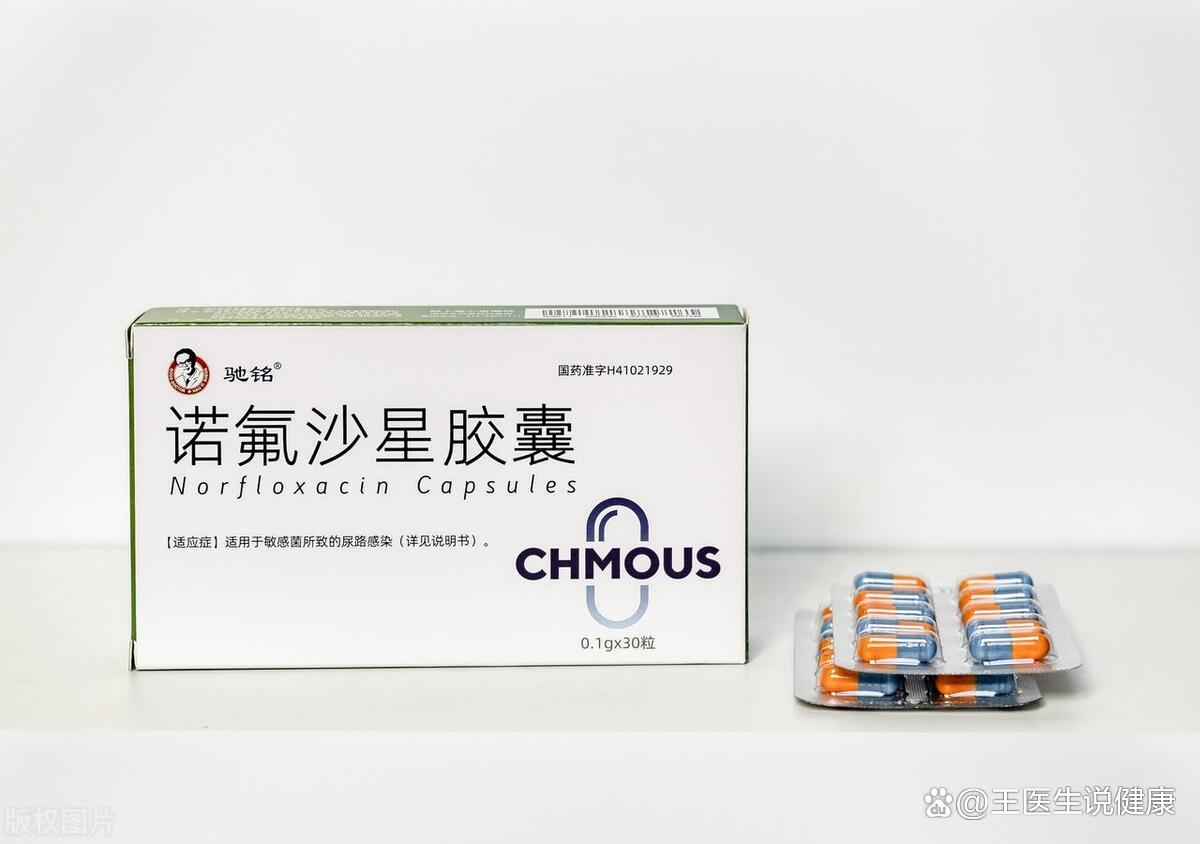诺氟沙星胶囊治什么病