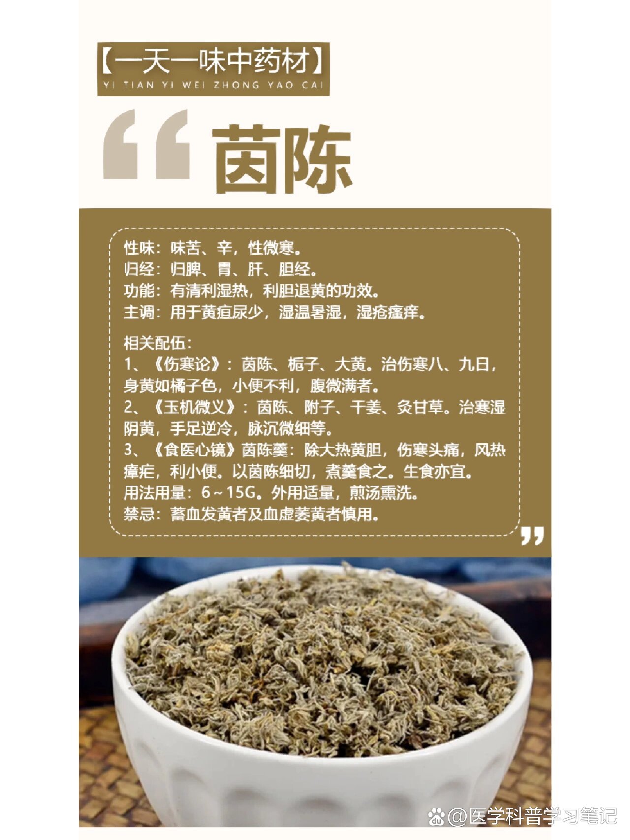 菌陈的功效与作用及禁忌