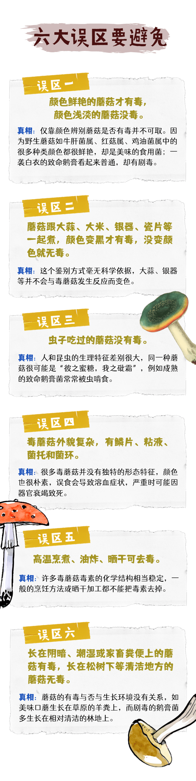 吃蘑菇中毒吃什么解毒