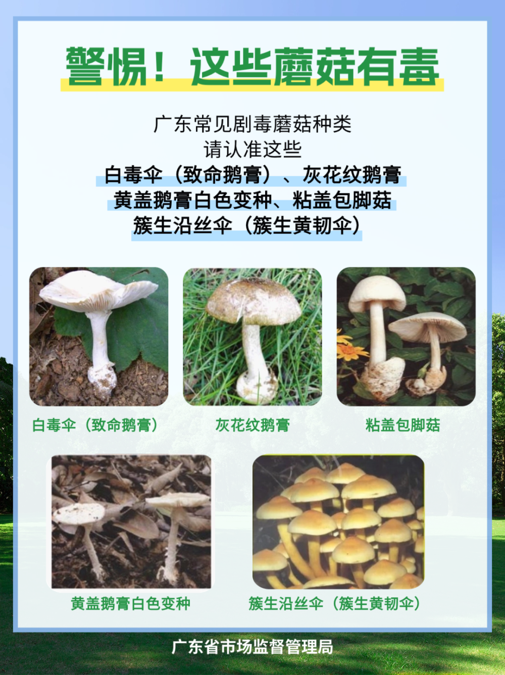 吃蘑菇中毒吃什么解毒