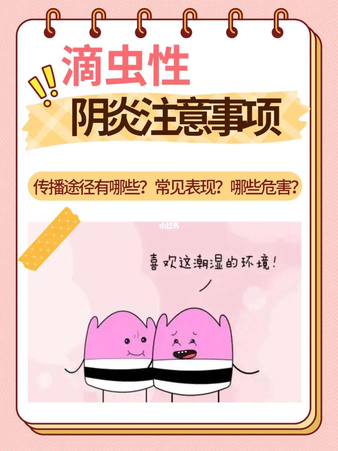 什么是滴虫感染?