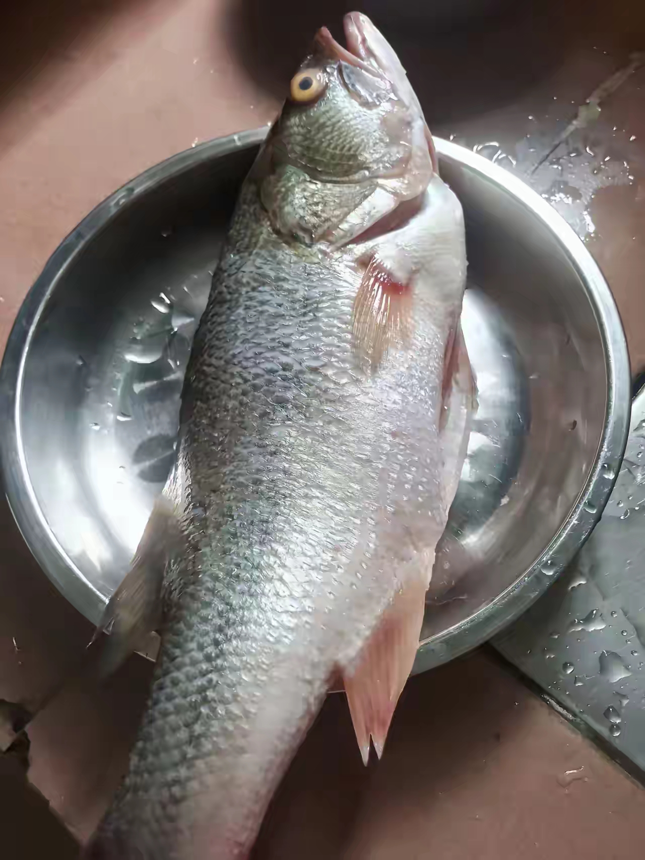 吃中药可以吃鱼吗..