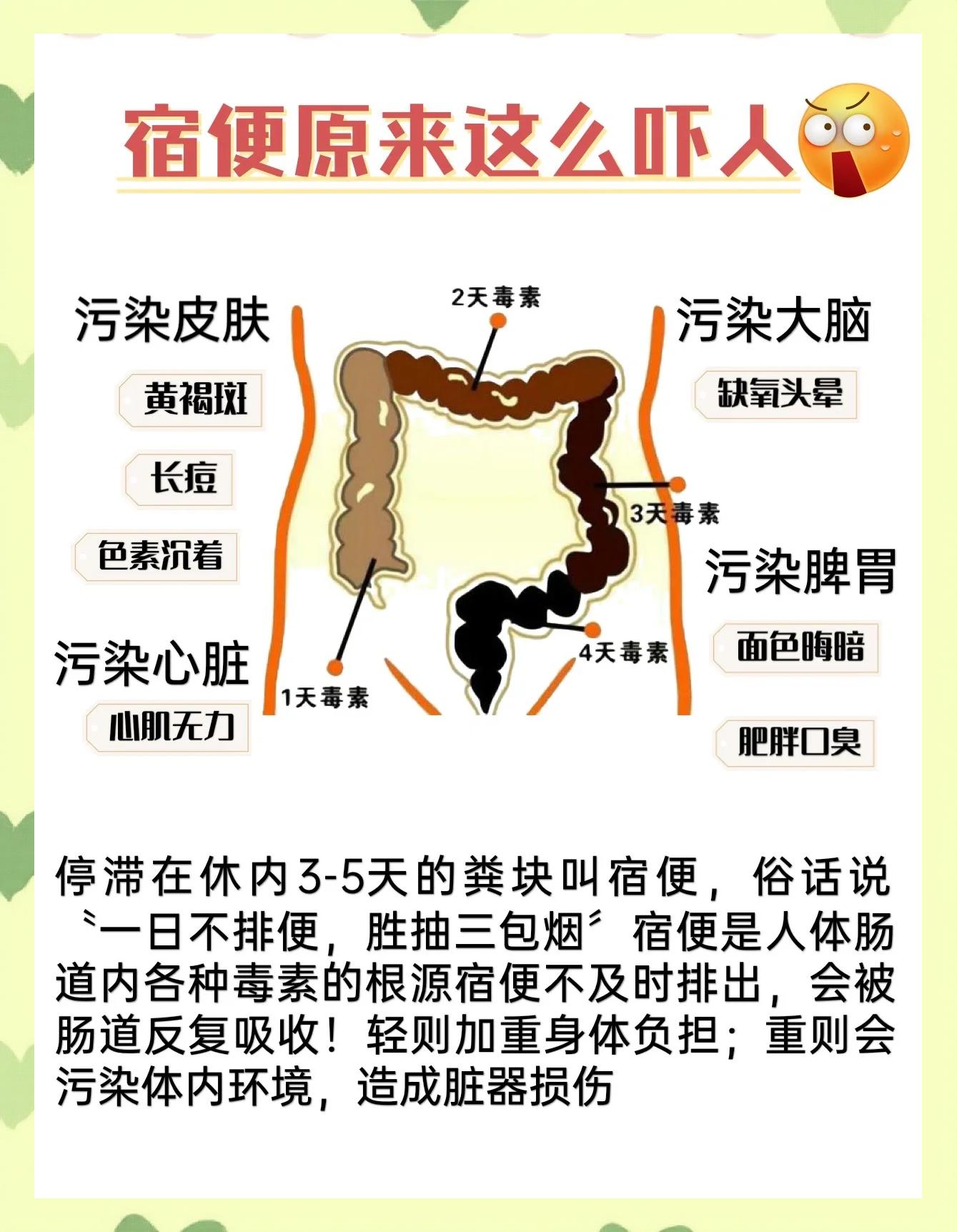 大便不畅如何调理