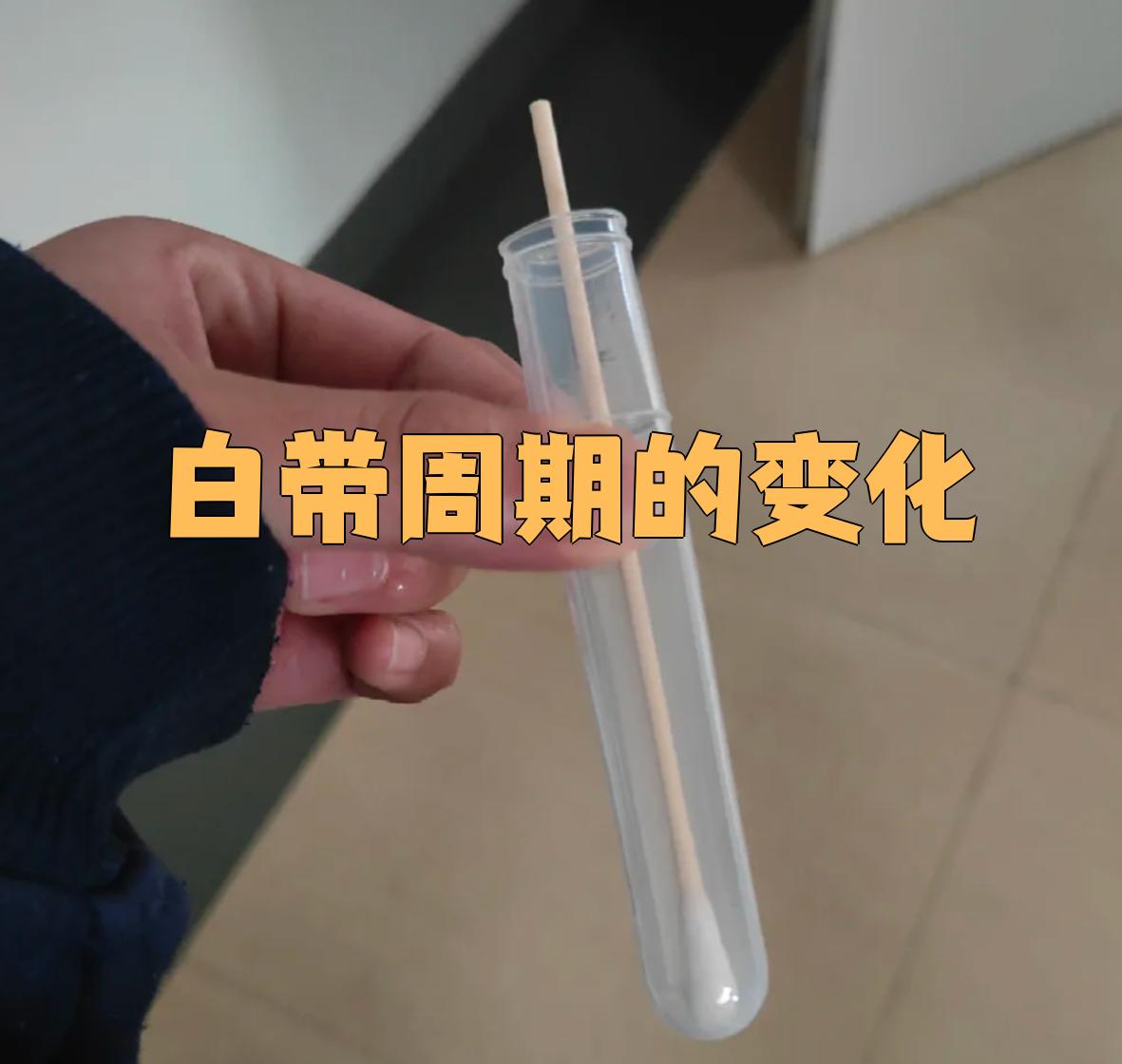 排卵期白带拉丝后多久排卵